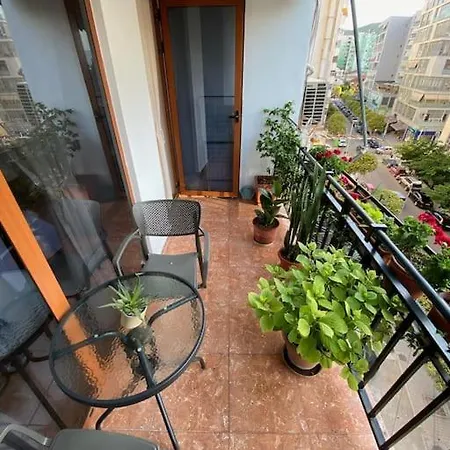 Mimosa's With Lovely Balcony *